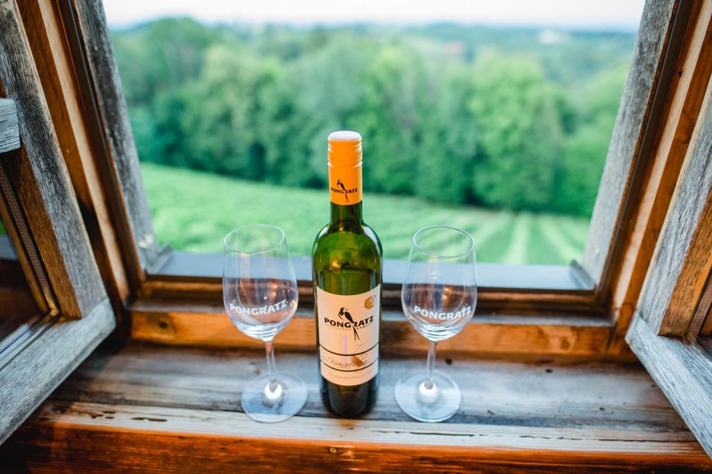 Der Wein im Weingut Pongratz - Foto © Karin Bergmann